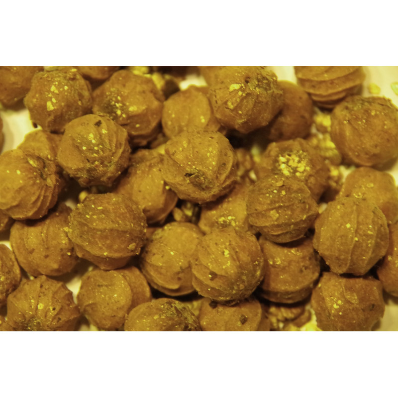 Verschaffeltia splendida - Seychellen-Stelzenpalme